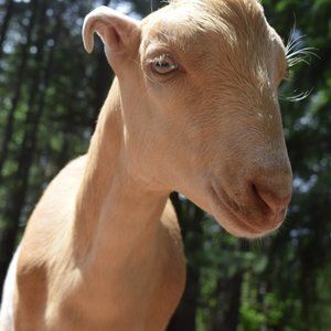 Meet Your Posher, K!